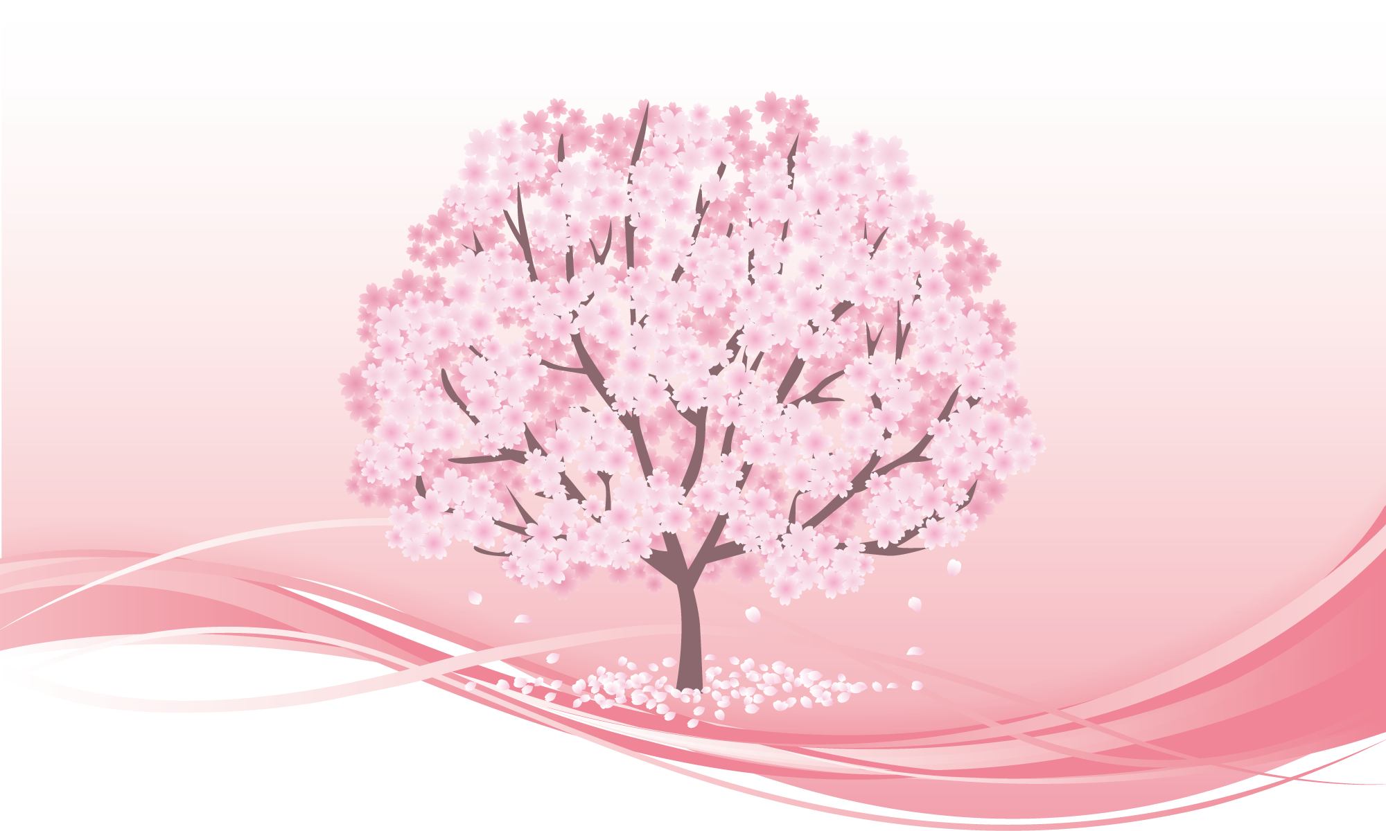 さくら中央法務事務所 桜のイメージ